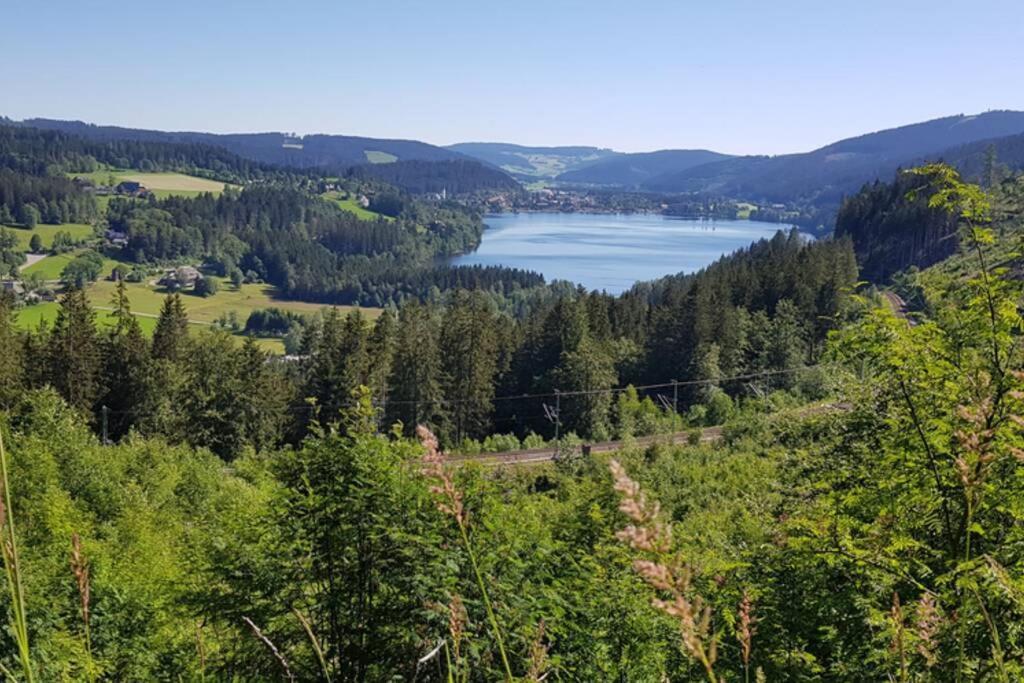 Black Forest Schwarzwaldblick Indoorpool Wifi Natur Komfort Höchenschwand Eksteriør billede