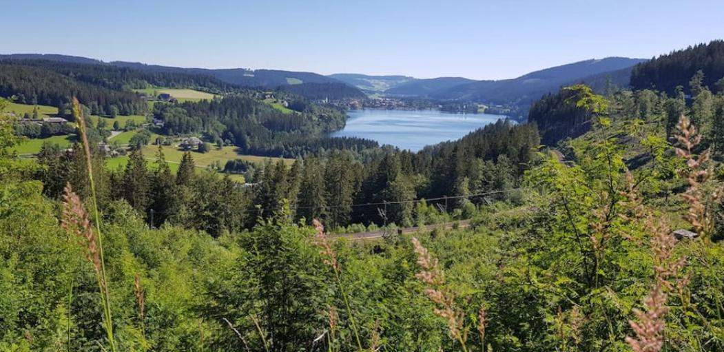 Black Forest Schwarzwaldblick Indoorpool Wifi Natur Komfort Höchenschwand Eksteriør billede