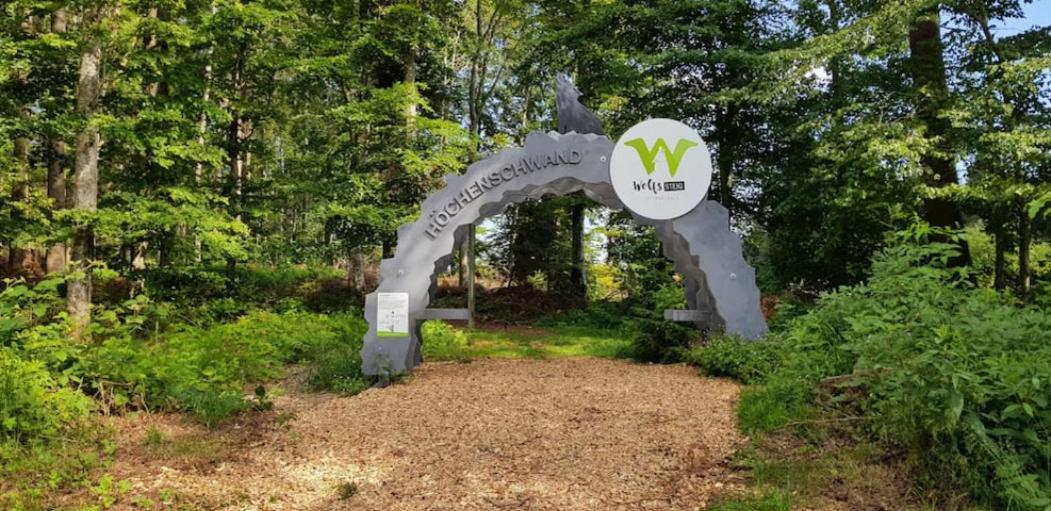 Black Forest Schwarzwaldblick Indoorpool Wifi Natur Komfort Höchenschwand Eksteriør billede
